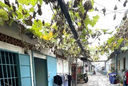 Bán Nhà Hẻm Xe Hơi 130m2_9.2x14m Khu Bên Sông Gần Gigamall Hiệp Bình Chánh Thủ Đức Chỉ 11 tỷ